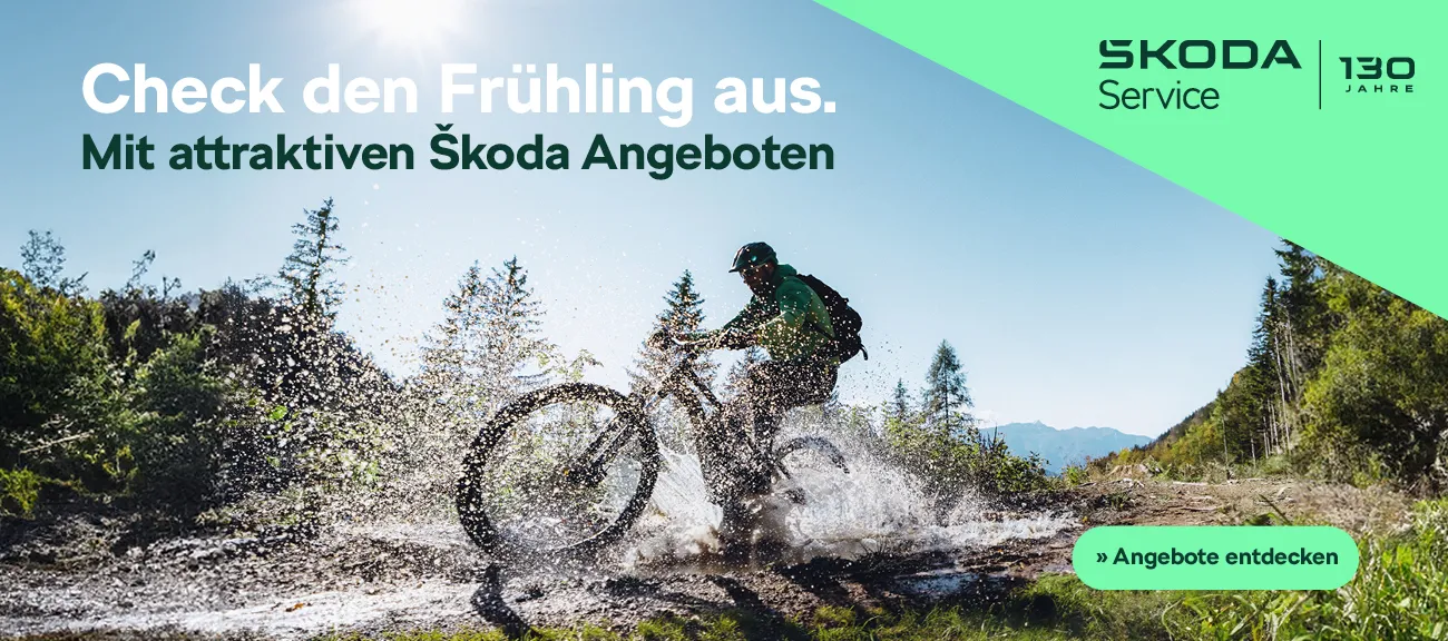 Skoda Frühlings-Service Angebote