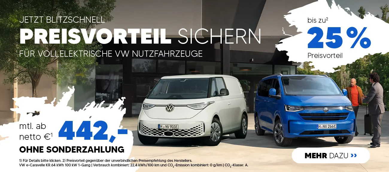VW e-NFZ
