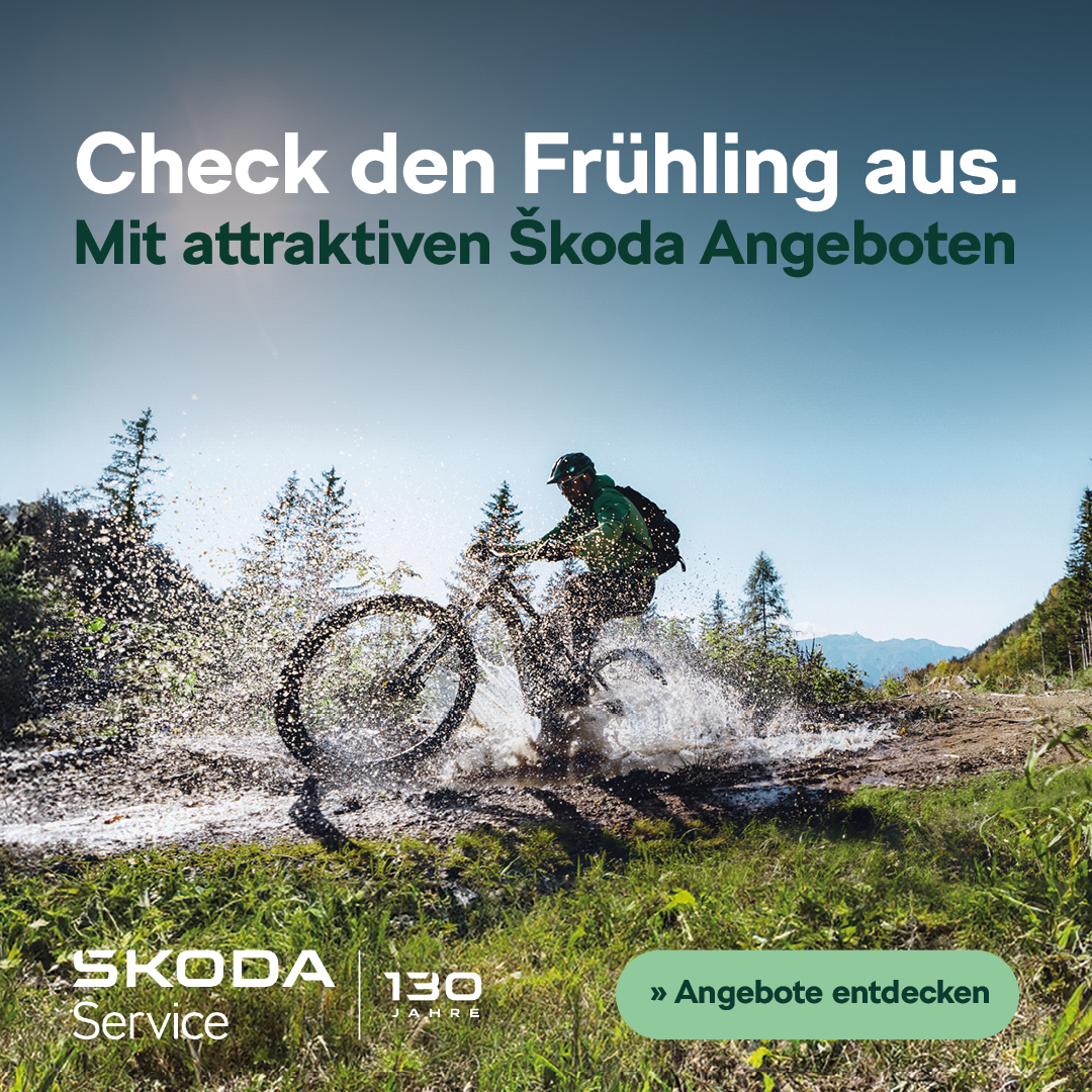 Skoda Frühlings-Service Angebote