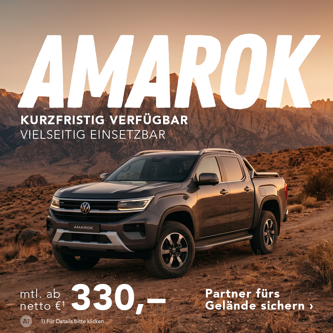BEITRAG VW Amarok Lager